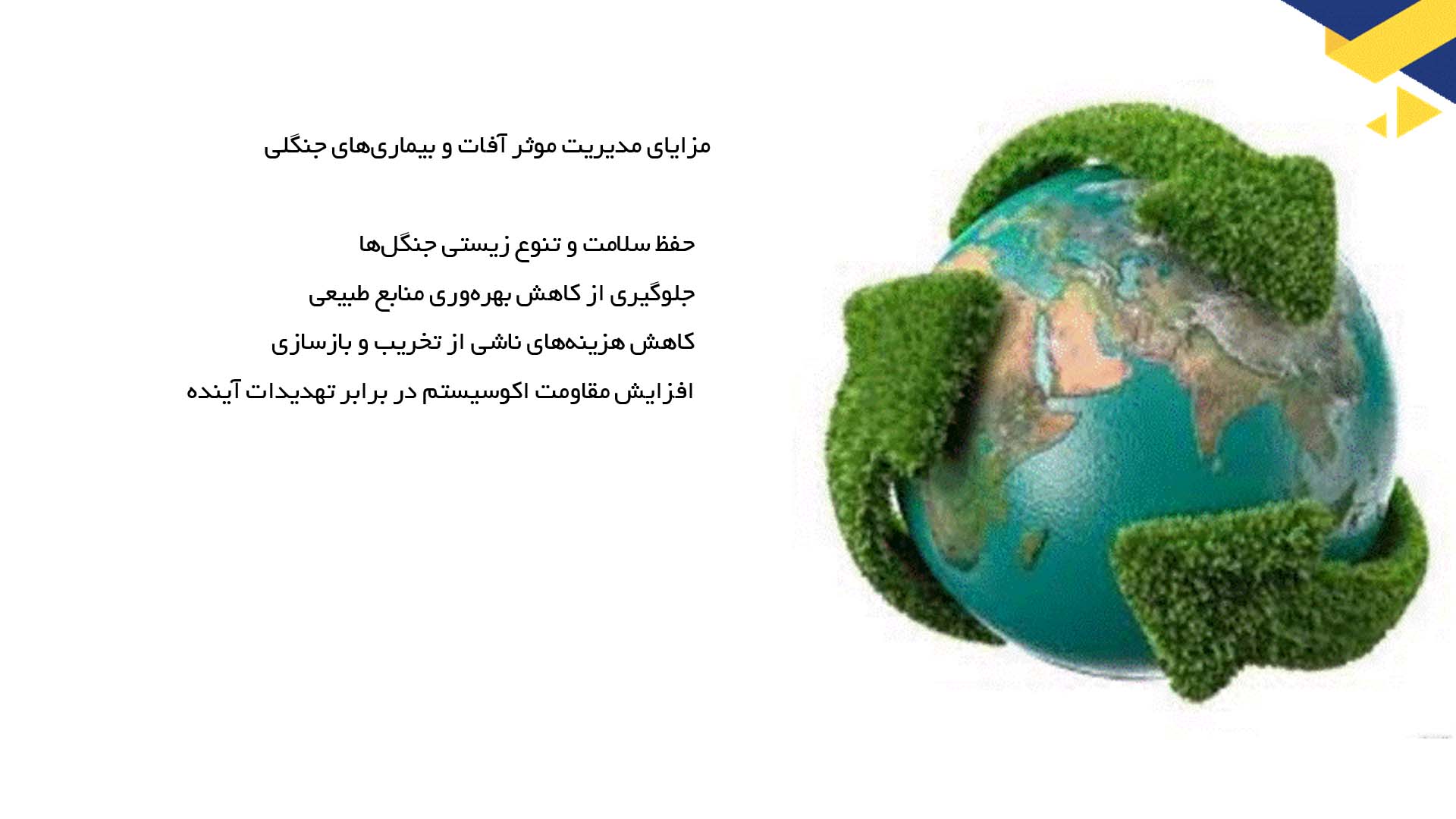 پاورپوینت در مورد بررسی آفات و بیماری‌های جنگلی